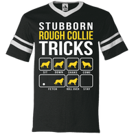 Collie Stubborn Tricks